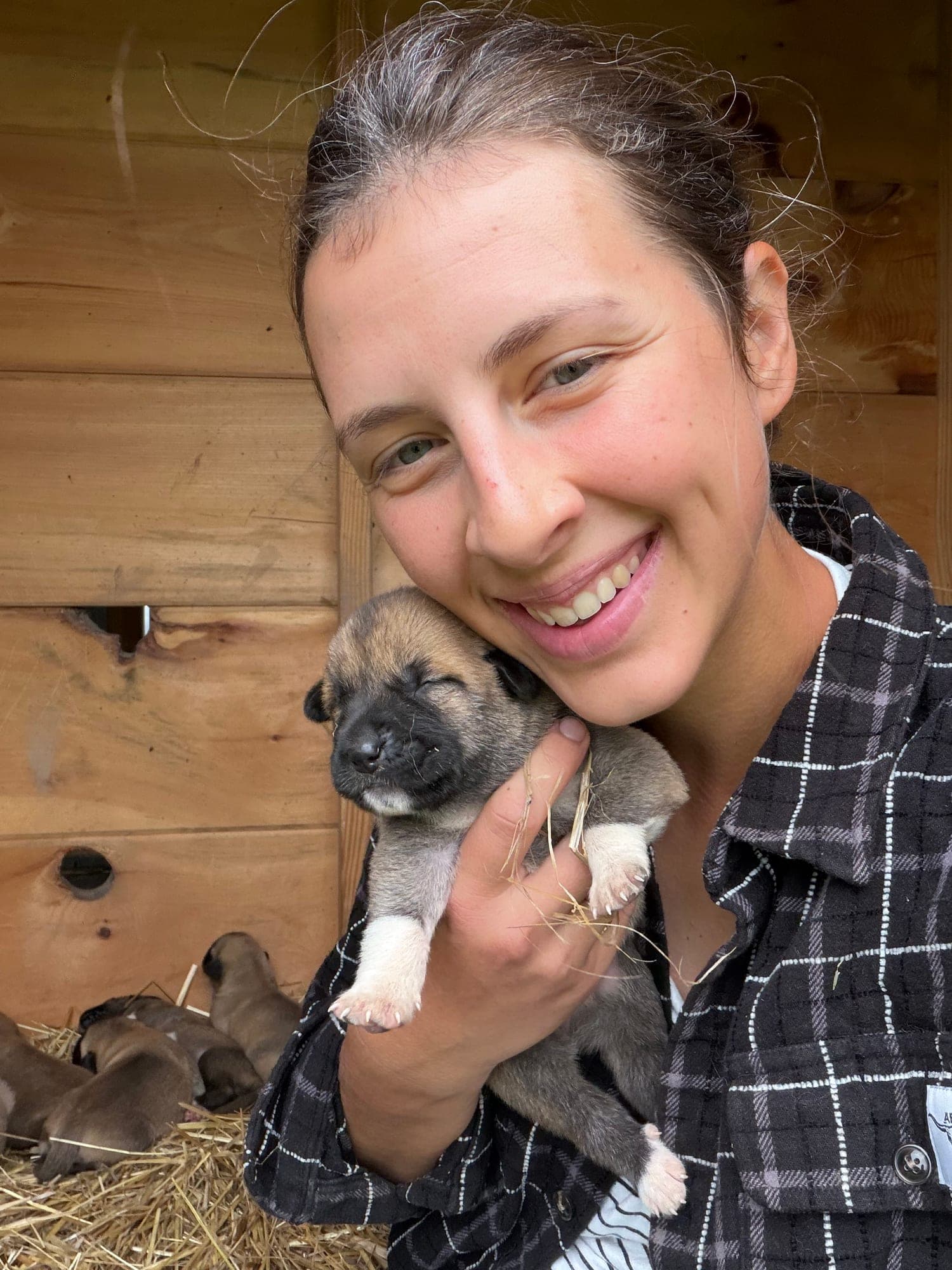 Kangal x Great Pyrenees guardian puppy being held in Newport, Tennessee